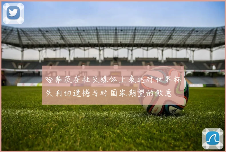 哈弗茨在社交媒体上表达对世界杯失利的遗憾与对国家期望的歉意