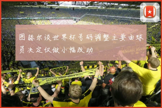 图赫尔谈世界杯号码调整主要由球员决定仅做小幅改动